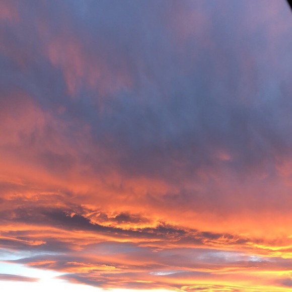 Meet your Posher, Cameron - Picture 1 of 1